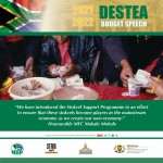 destea-budget-vote-poster-3-2